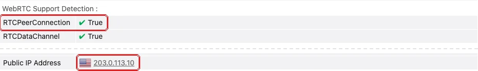 browserleaks WebRTC 检测结果示例